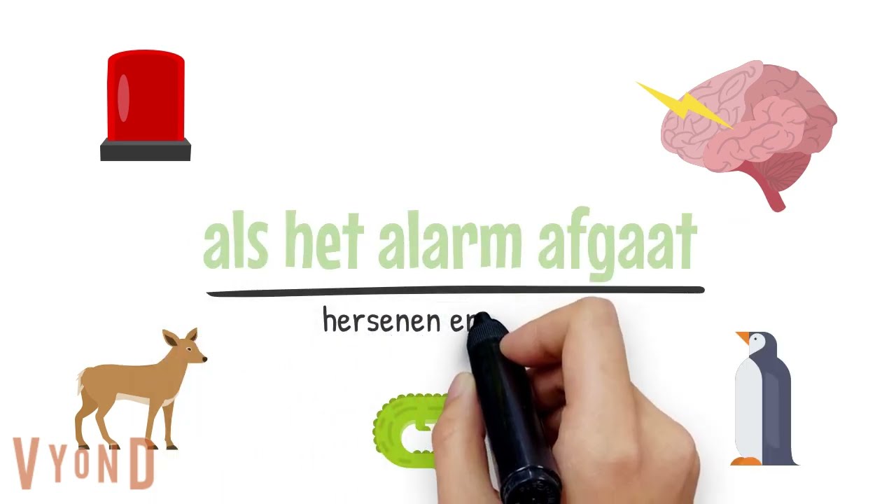 Als het alarm af gaat