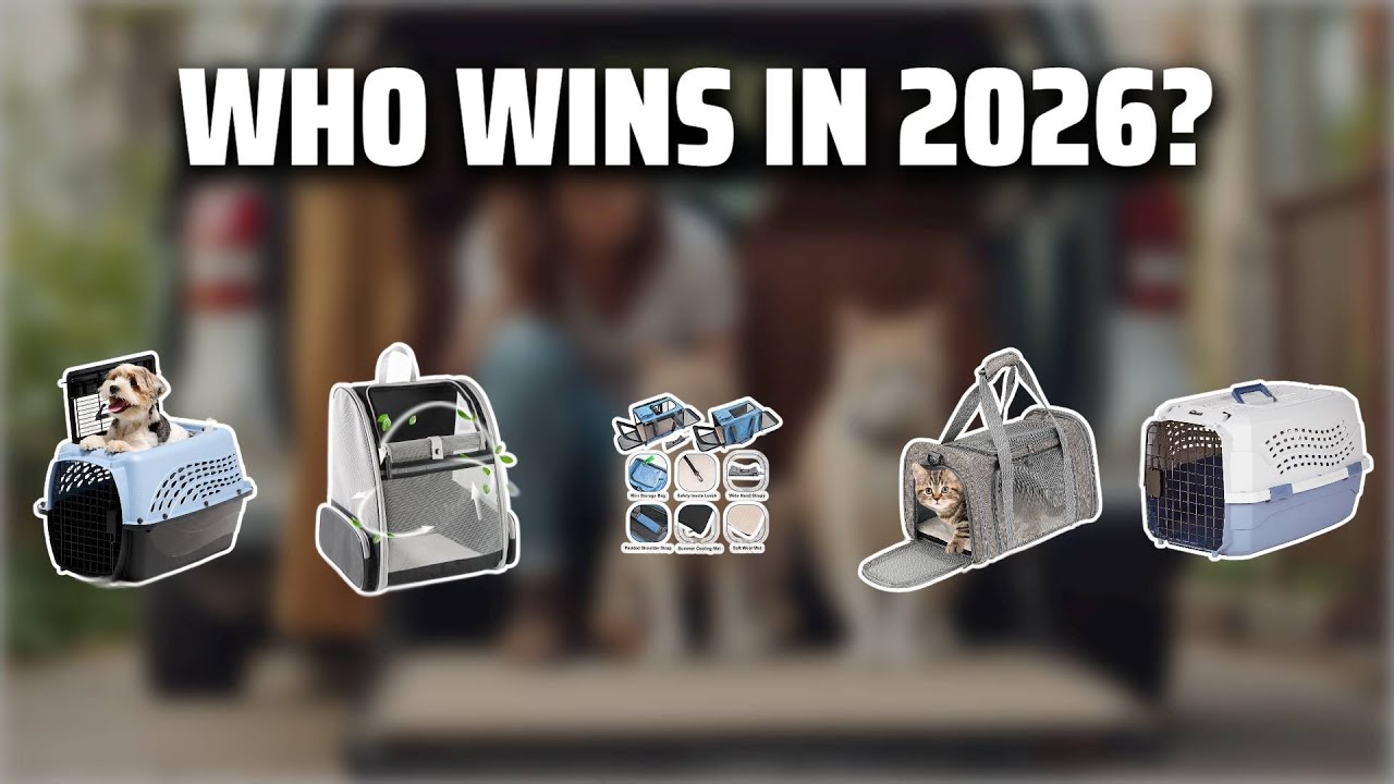 The Top 5 Best Cat Carriers in 2026 - Must Watch Before Buying!