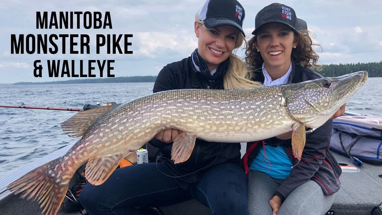 Monster Manitoba Pike & Walleye | Bakers Narrows Part II