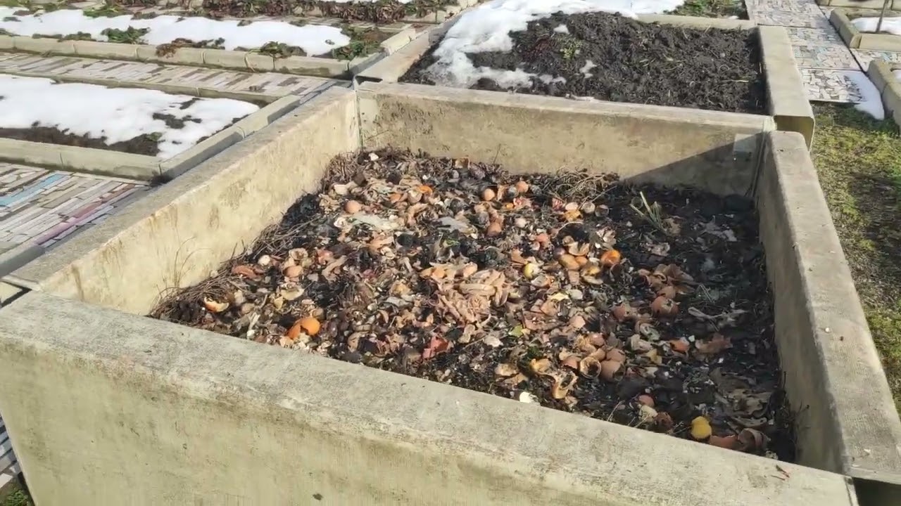 Конец января  Запах весны
