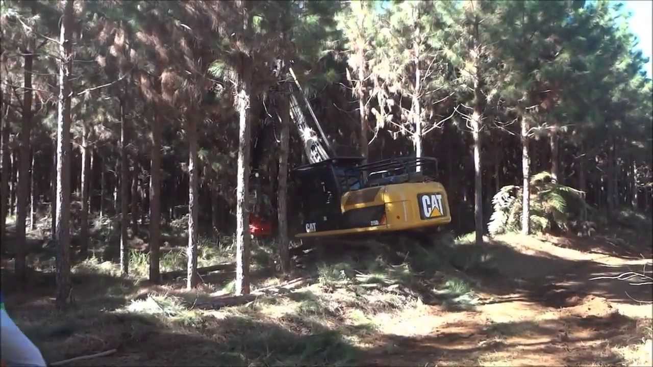 Log Max 5000C on Harvester CAT 315DL with Crane Epsilon Palfinger