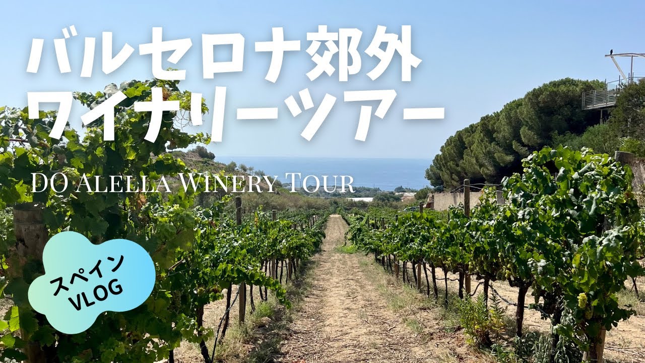 バルセロナから一番近いワイン生産地　アレーヤのワイナリーツアー / 太陽と塩のワイン / 村のレストランでワイン&ランチ