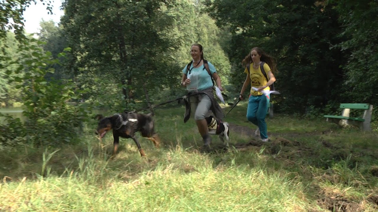 Dogtrekking w Rudzie