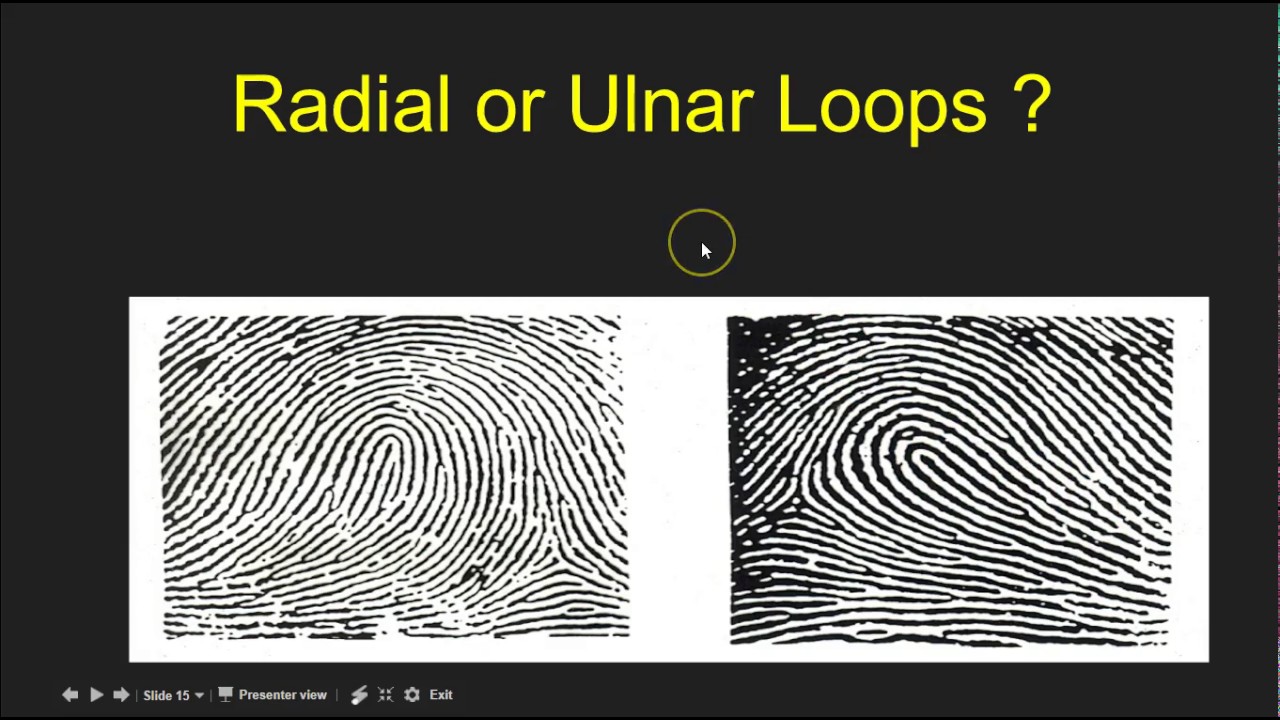 Classifying Loops Video Two