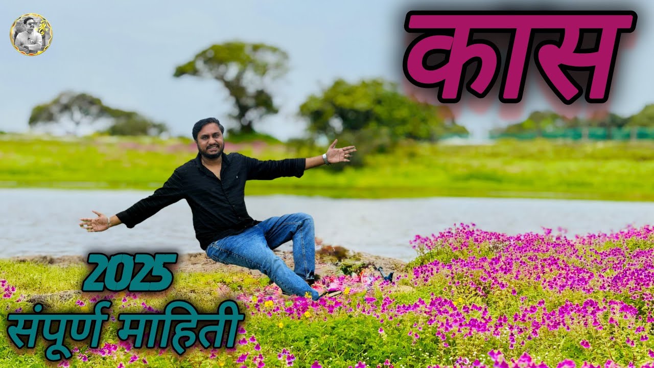 कास पठार | Kas Pathar | Flower Valley | Kaas plateau | Best place to visit in monsoon