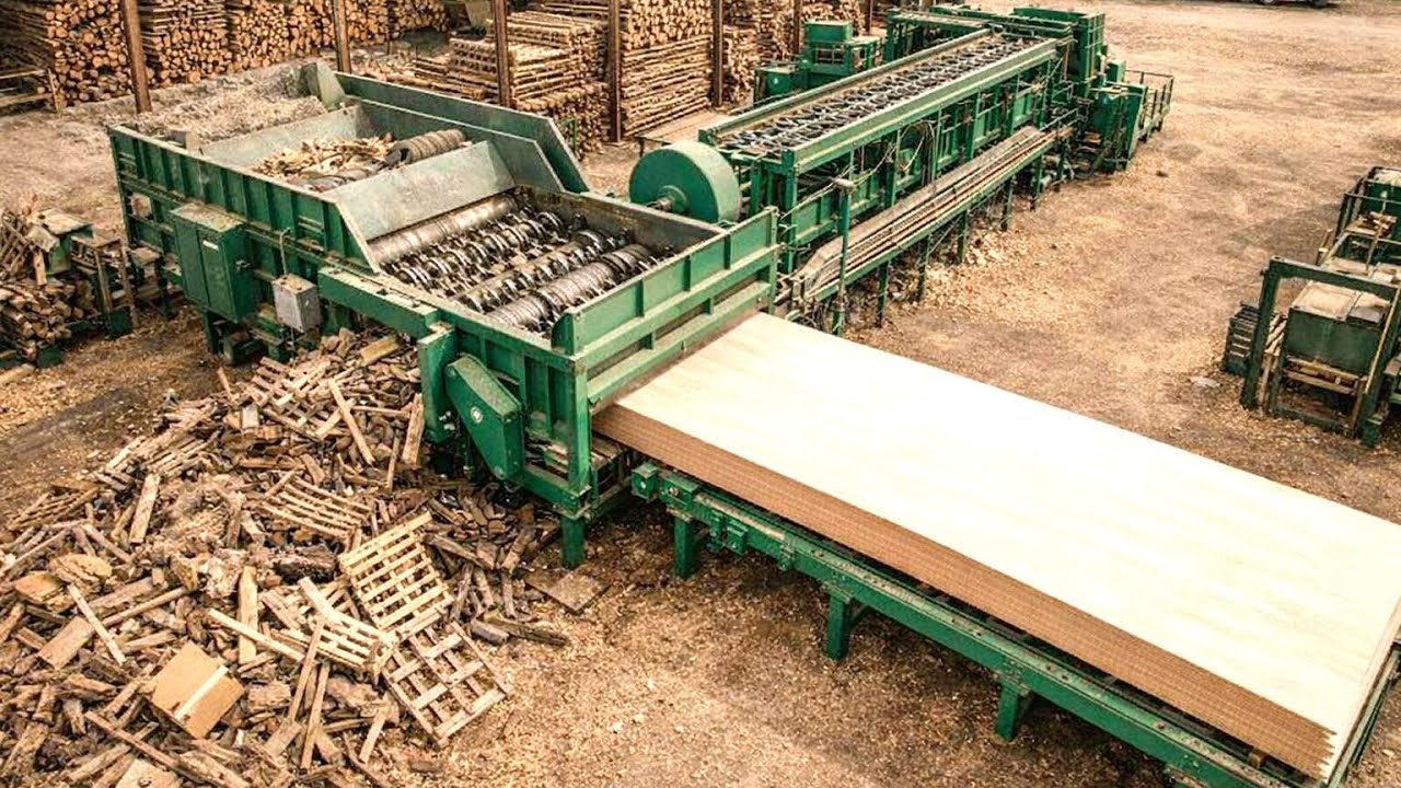 Inside Massive Factories Turning Wood Waste into Millions of Particle Boards