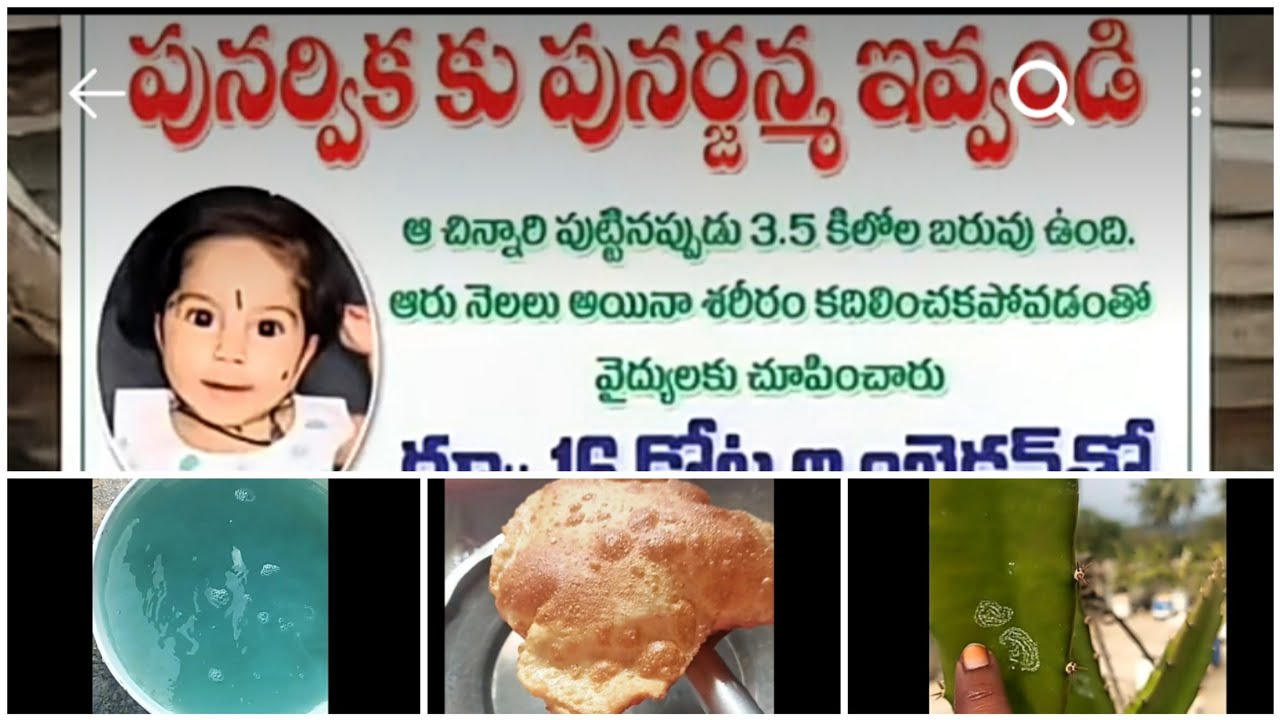 జీవితం విలువ తెలియక మూర్ఖంగా చేస్తున్నారు,ప్రాణం కాపాడండి#savepunarvika#ashamutyala#dml#vlog 