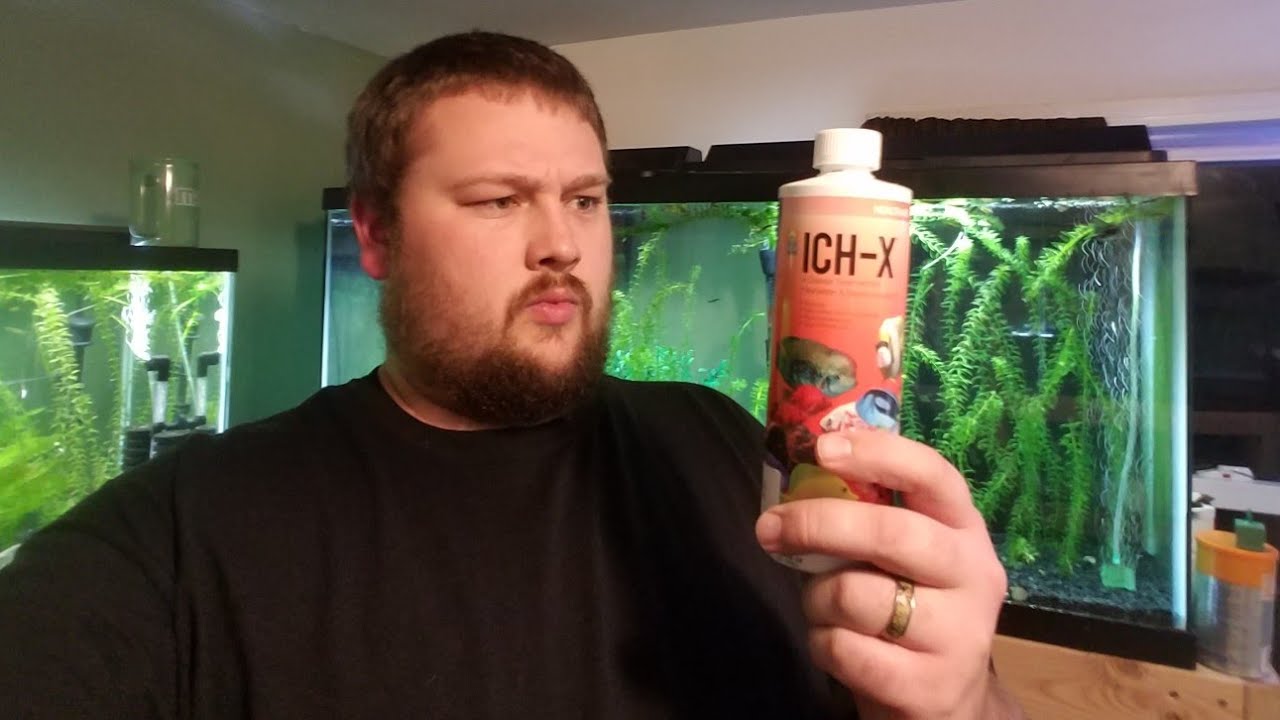 Лечите ихтиофтириоз с помощью Ich-X!