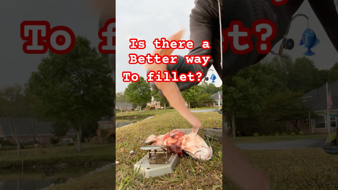🎣Should I stop cleaning fish where I catch them? 🐟 