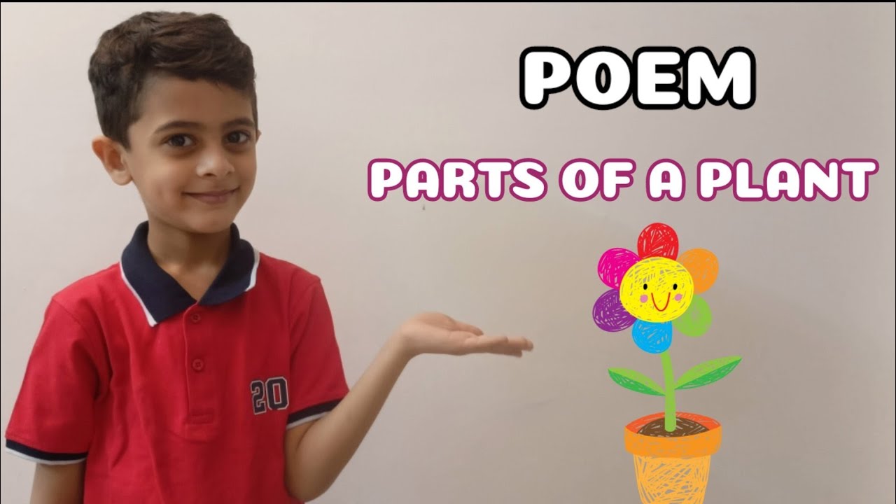 English poem for kids | Poems in English | Parts Of A Plant | #poems #englishpoem #earthday