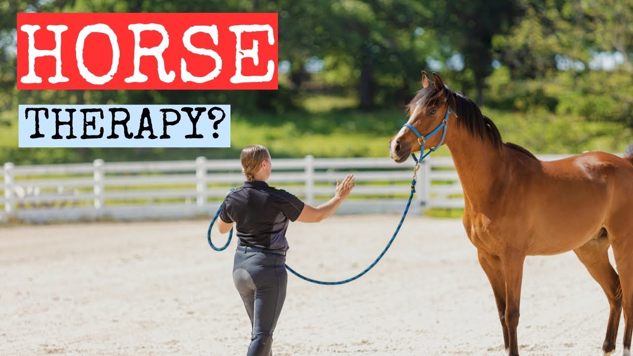 What is Equine Assisted Learning? | How horses help with mental health.