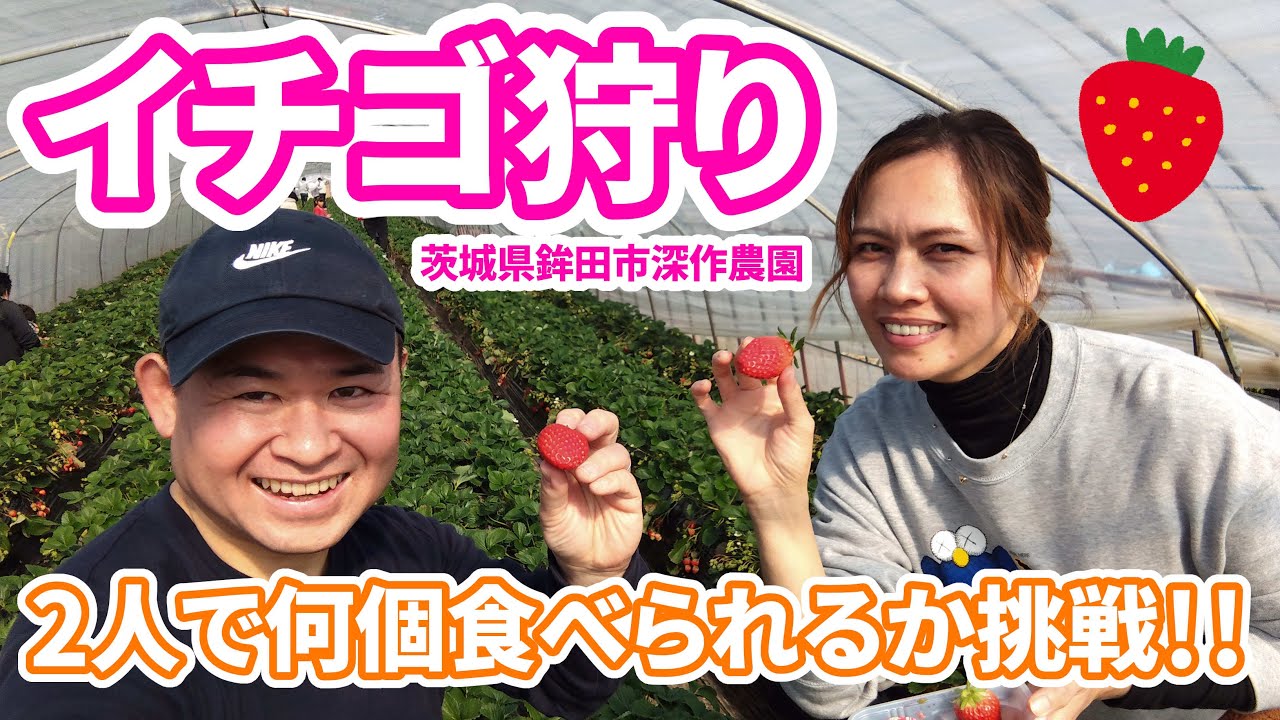 【イチゴ狩り】あま～い！イチゴいくつ食べられる？
