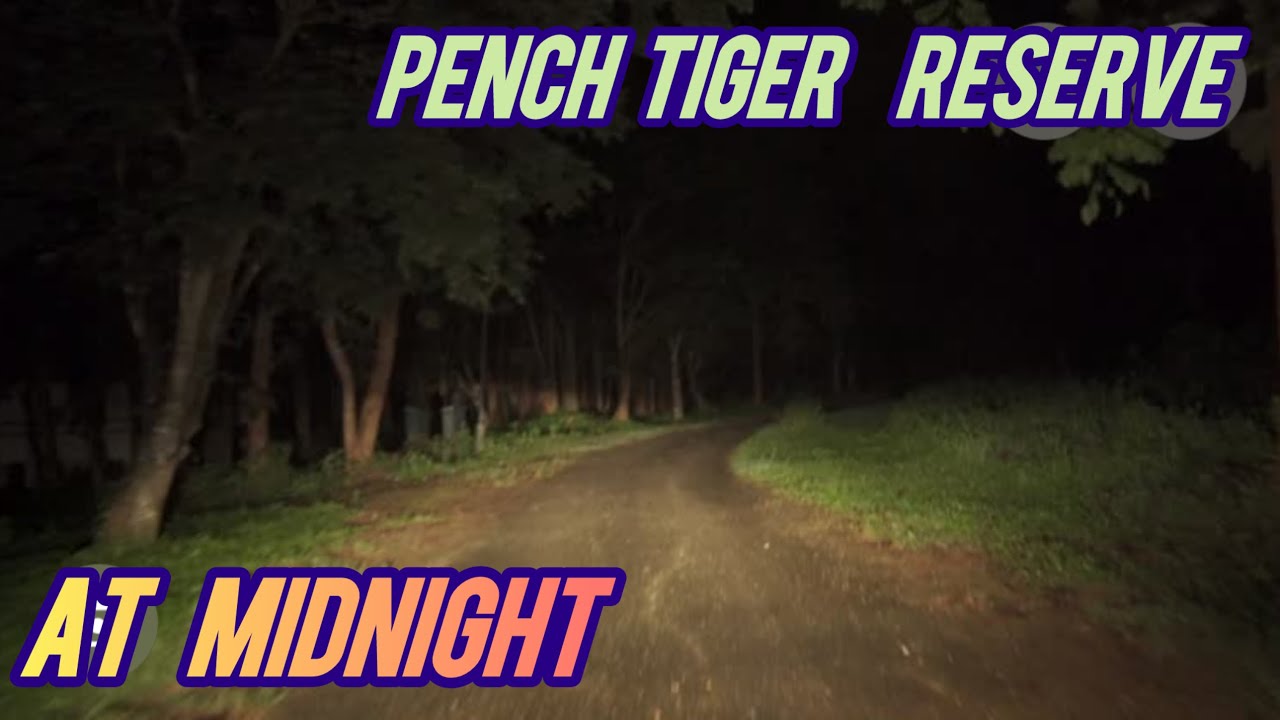 PENCH TIGER RESERVE, MADHYA PRADESH AT NIGHT 1 P.M
