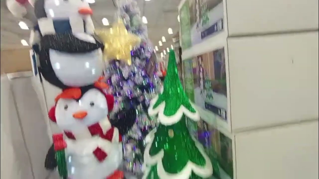 Inside Costco Australia | Best Deals & Bulk Buys