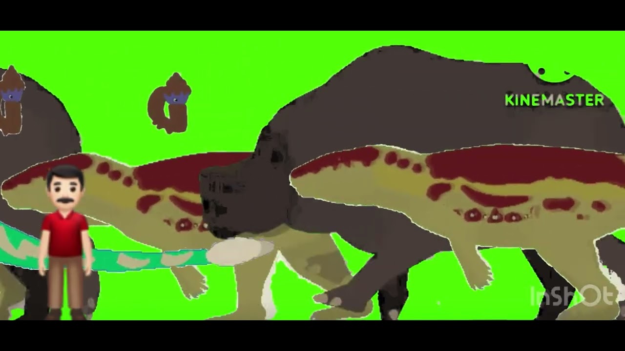 New size comparison 