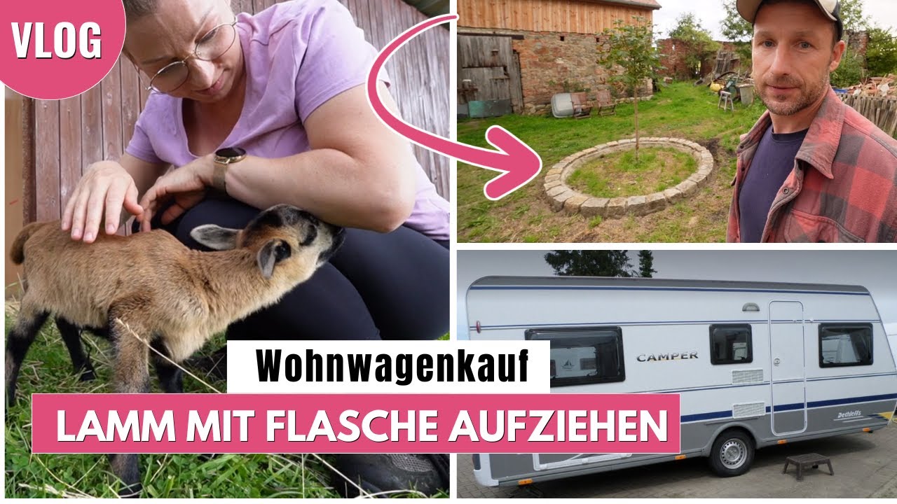 Unverhofftes neues Familienmitglied | Wohnwagenkauf | Neuer Heizkessel | UKF