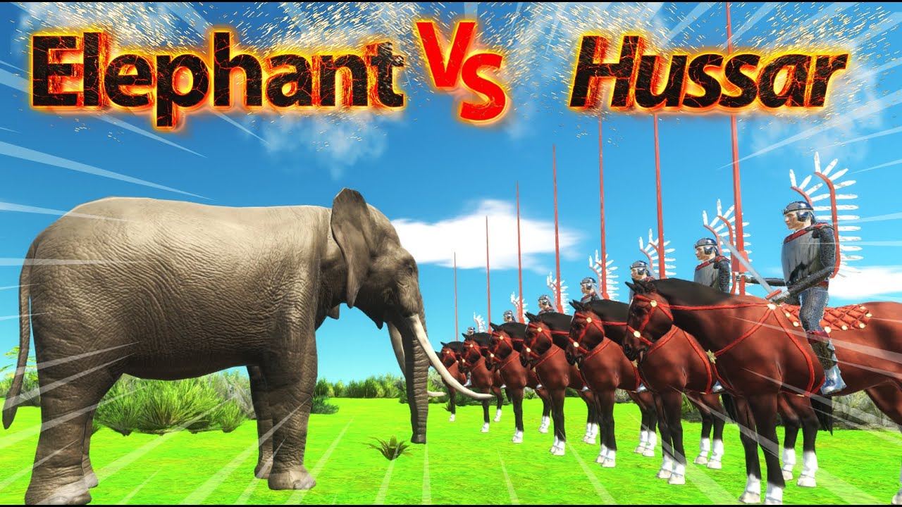 Elephant VS Hussar ! ARBS