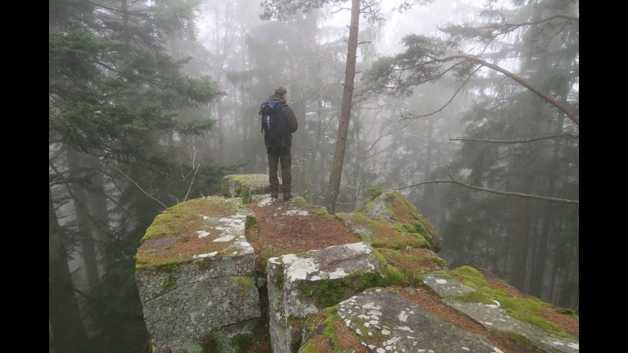 Walking series: Vosges France - Hiking Taennchels Mystical Forest #3