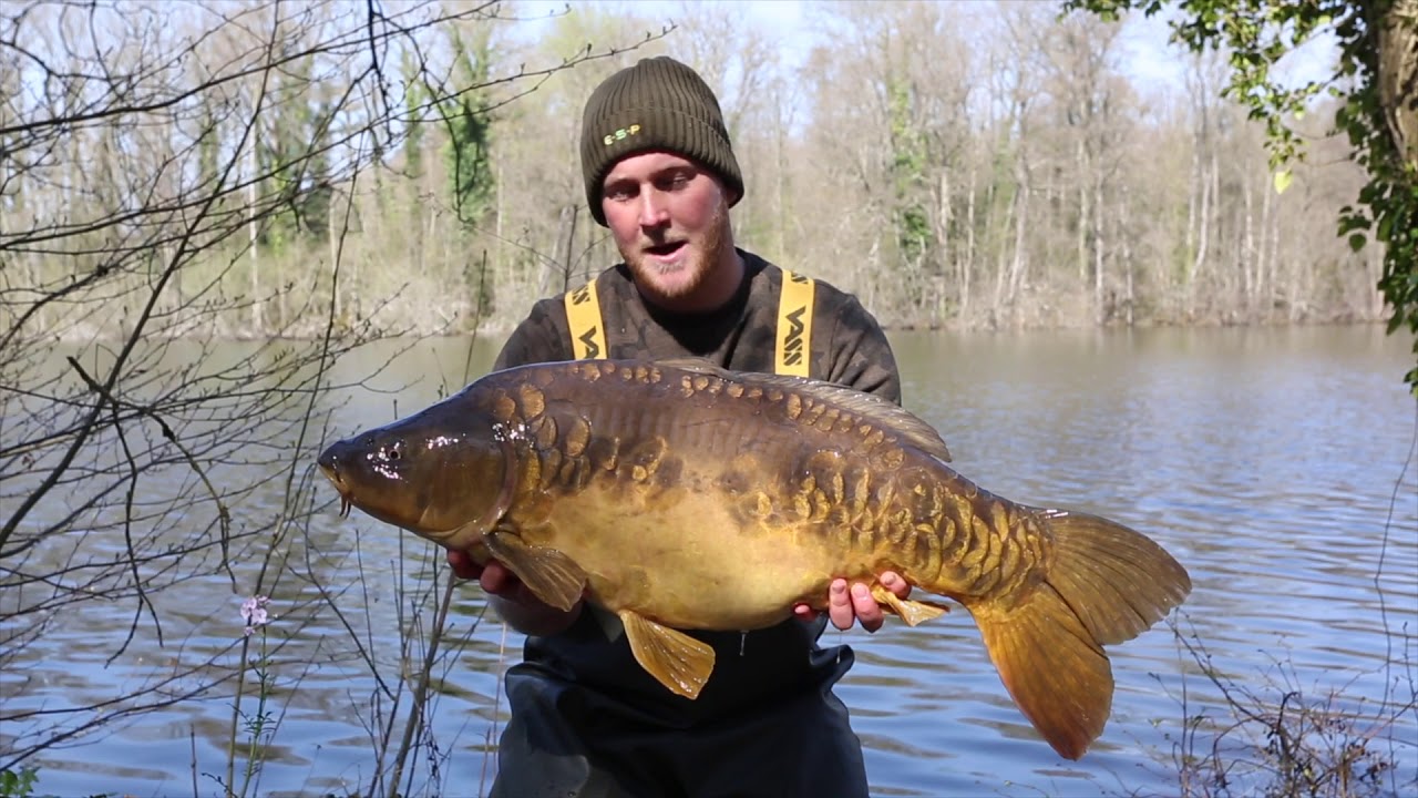 CARP FISHING - Brocard Small Angling Lines