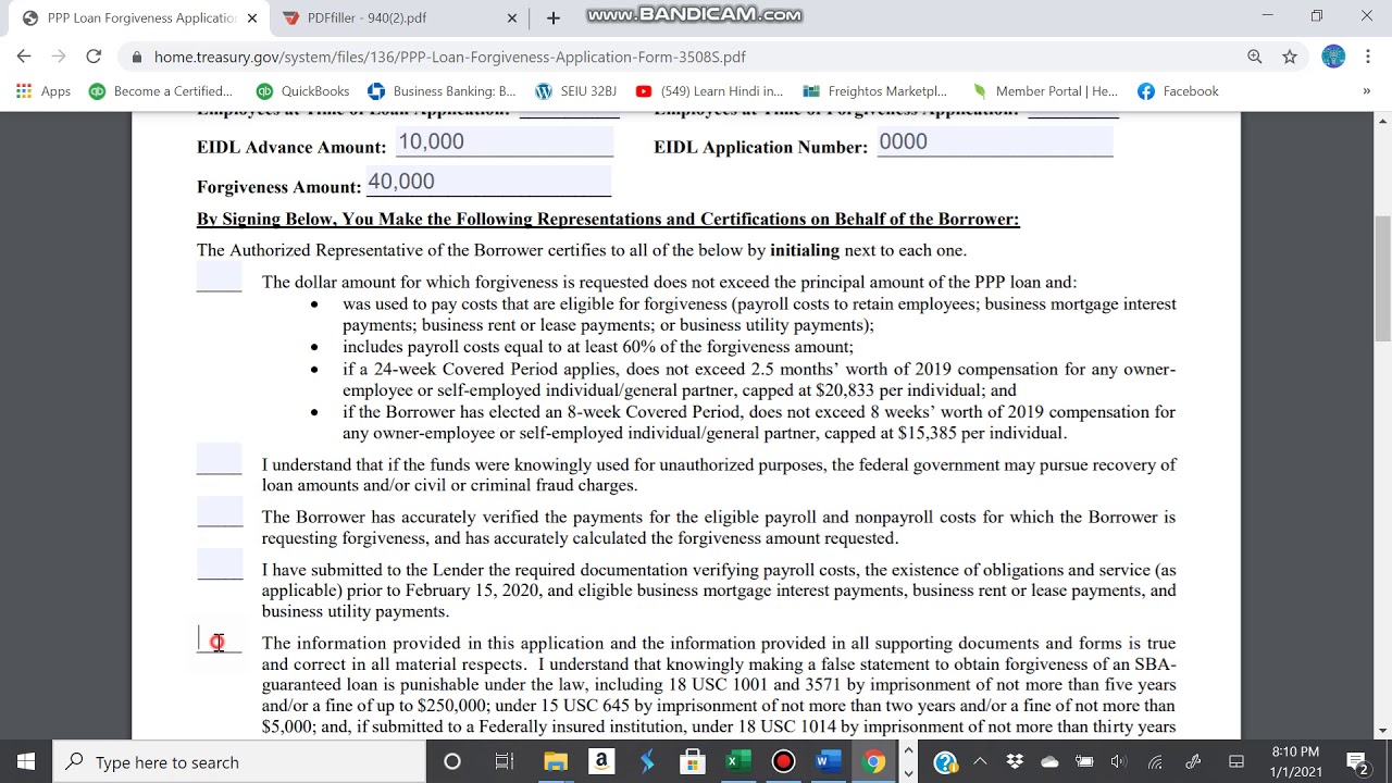 PPP LOAN FORGIVENESS FORM 3508S