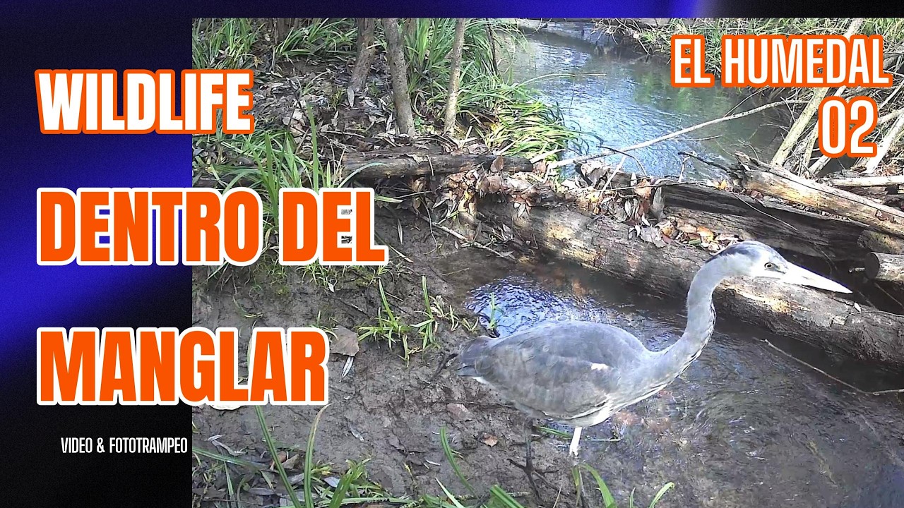 EL HUMEDAL 02