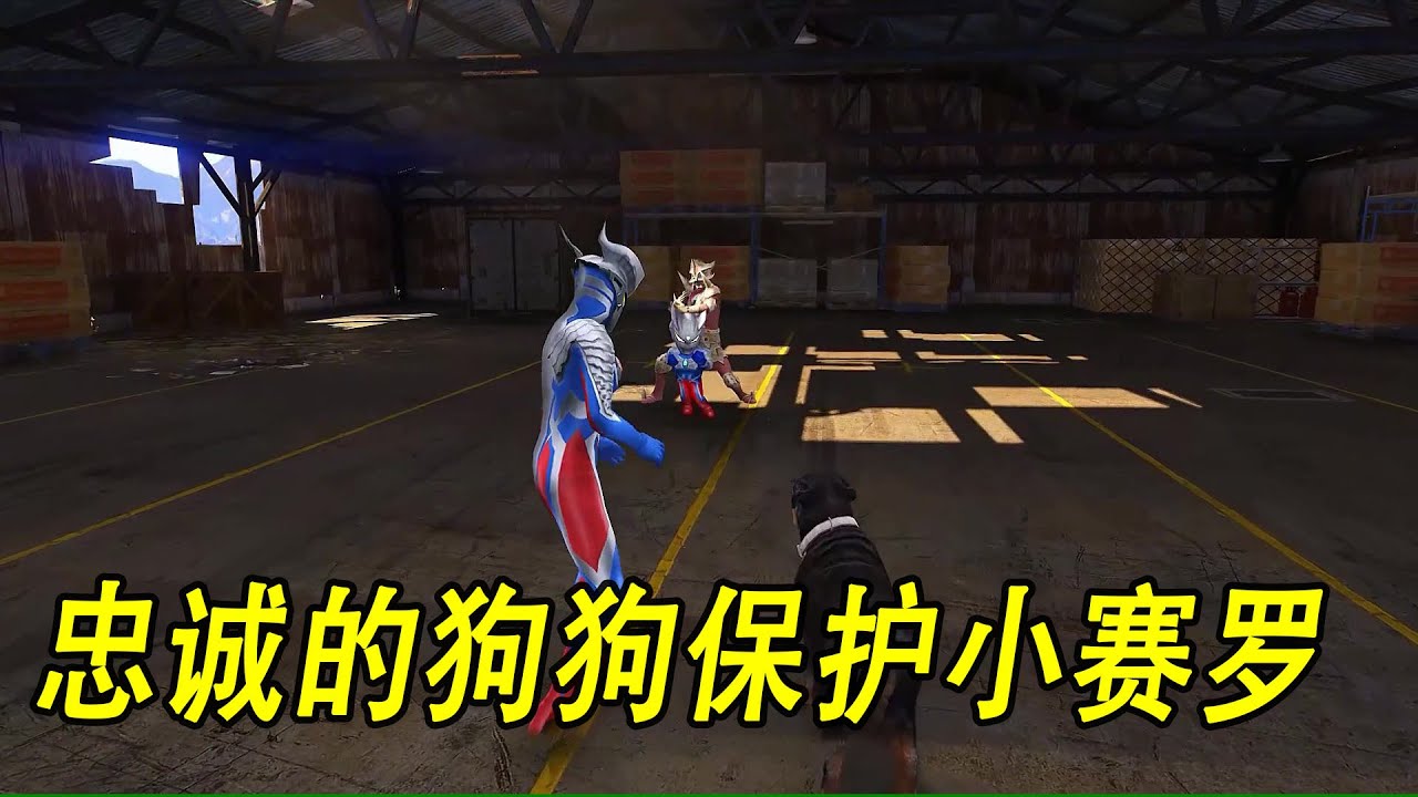 忠诚的狗狗保护小赛罗 #ウルトラマン #Ultraman #奥特曼 #光之使者