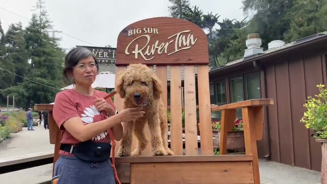2023 09 02 Big Sur River Inn & Restaurant Carmel By The Sea Treehouse cafe 4K