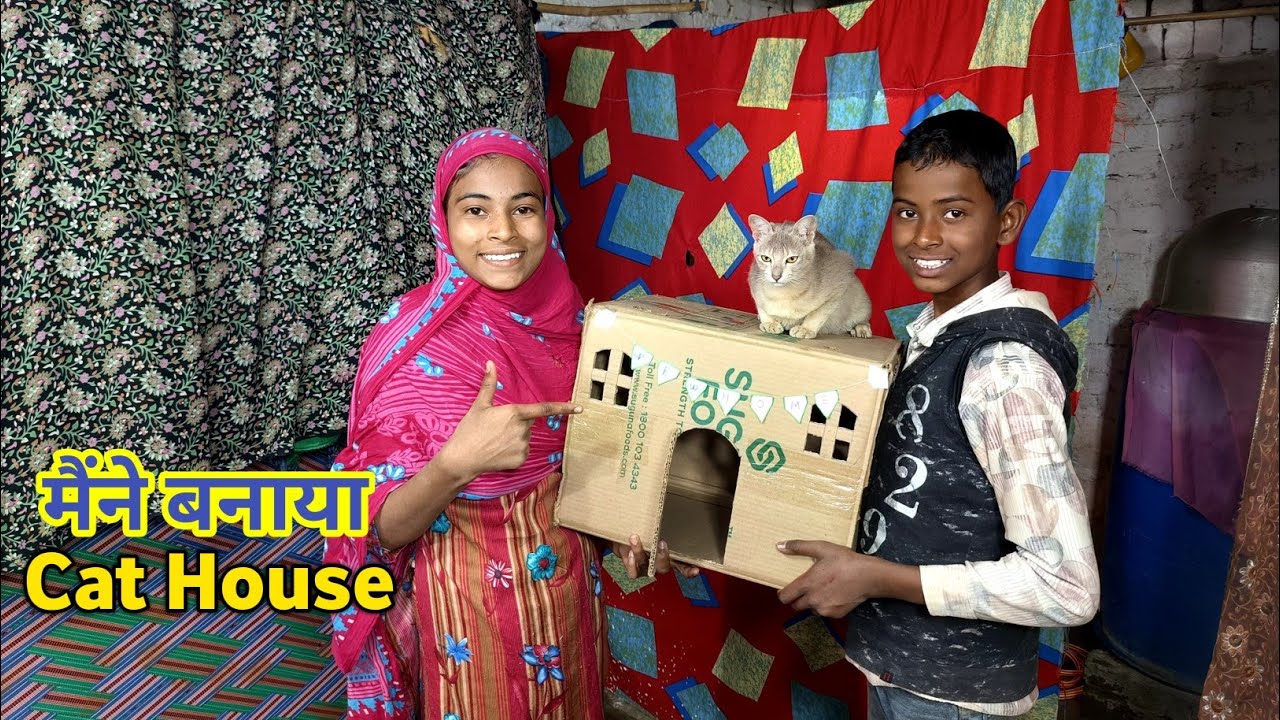 Maine banaya cat house 🏡