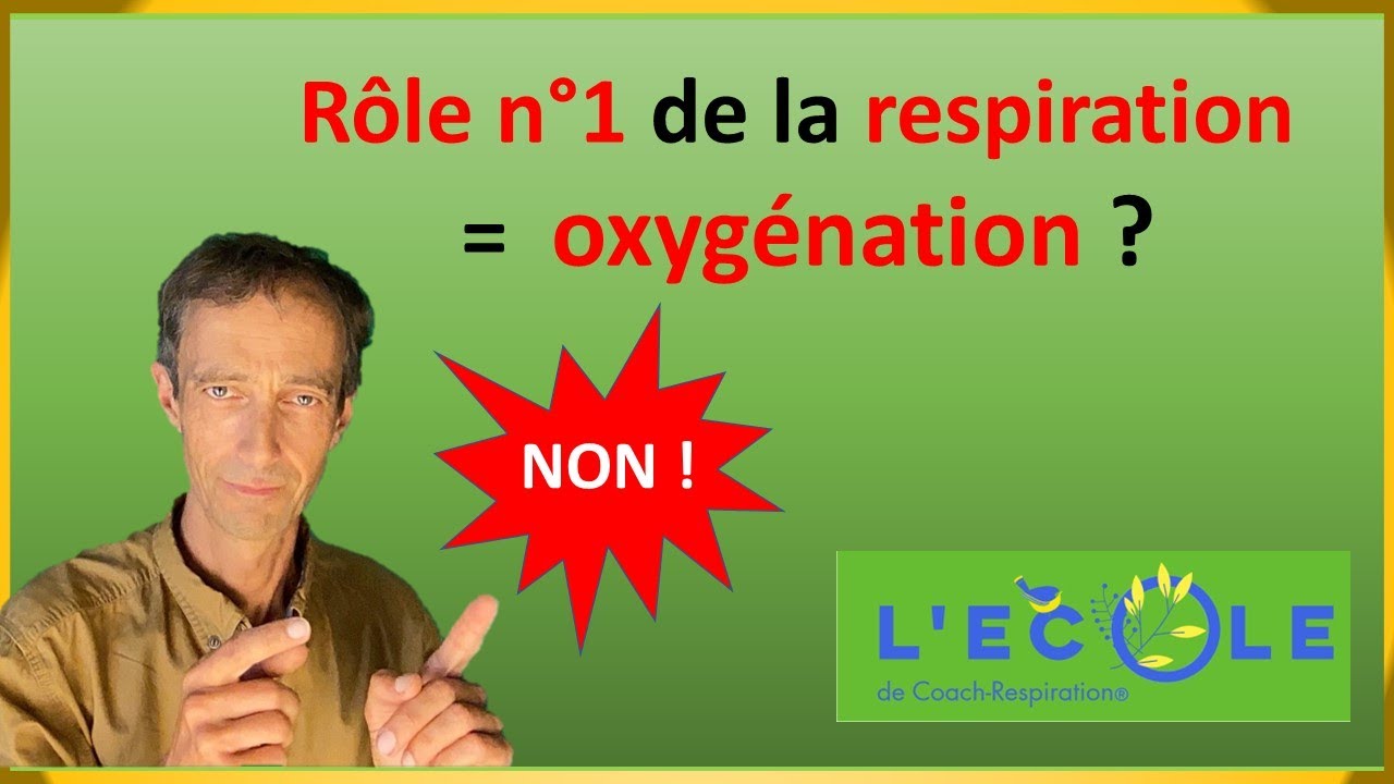 Révélation étonnante sur les liens entre respiration et oxygénation