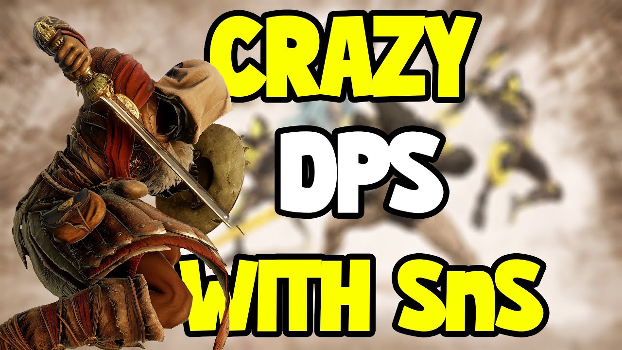 New World Sword and Shield DPS Build | BIG Damage