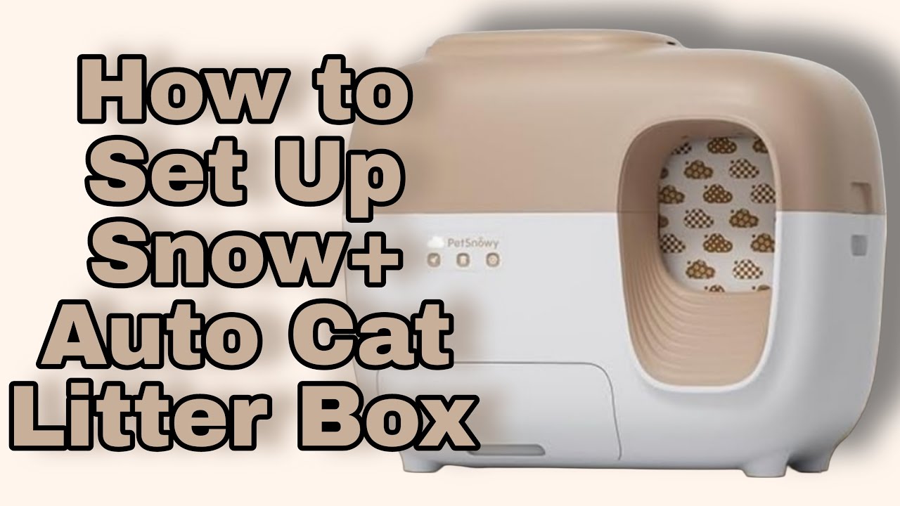 PetSnowy Snow+ Automatic Litter Box: Setup & Review