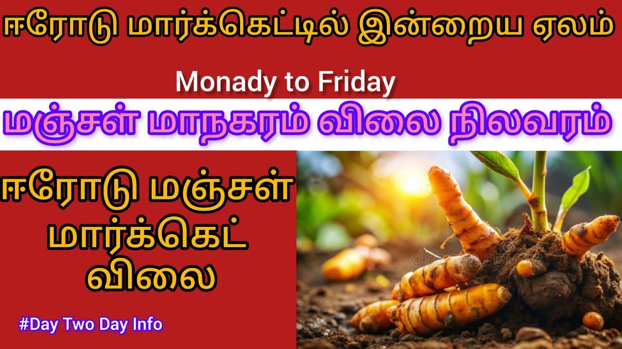 #erode Regulated market turmeric price today (13.02.2026)