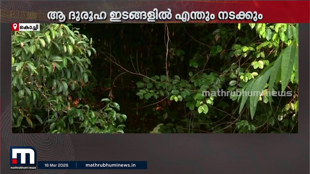 'ഇവിടെ ആരെങ്കിലും വന്ന് മരിച്ചാലും അറിയാനാവില്ല'; കുറ്റകൃത്യങ്ങൾക്ക് വളക്കൂറാകുന്ന ആളൊഴിഞ്ഞ ഇടങ്ങൾ..