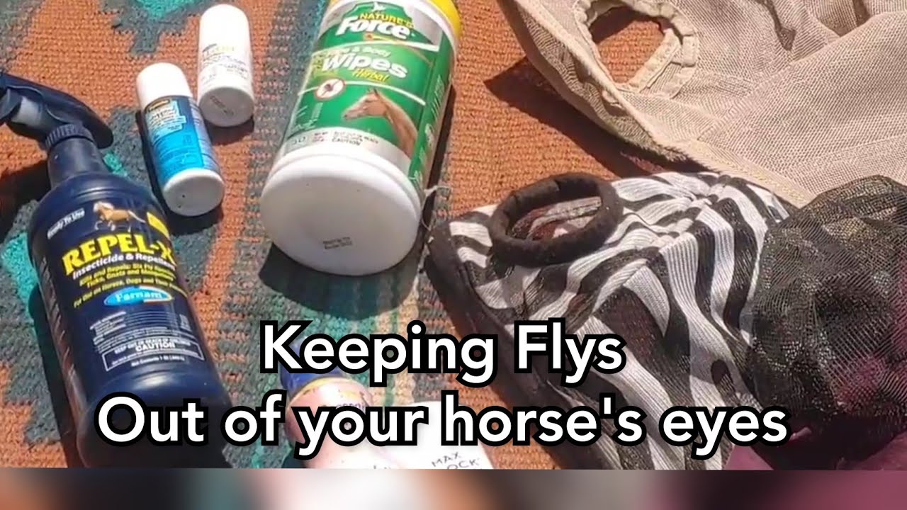 Keeping Flys away from your horse's eyes - Different products and uses