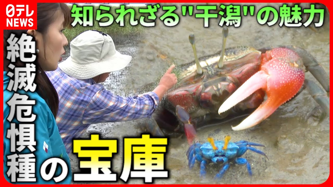 【発見】謎多き