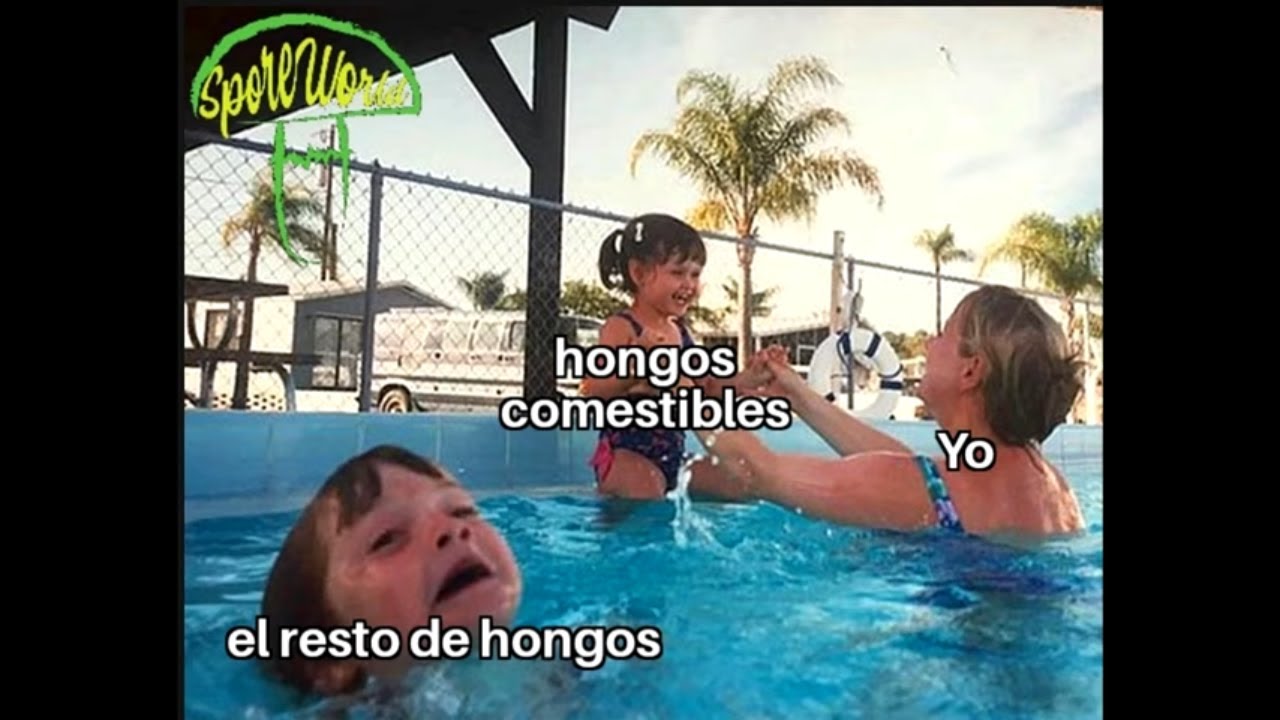 Compilaci&oacute;n de los mejores MEMES micol&oacute;gicos