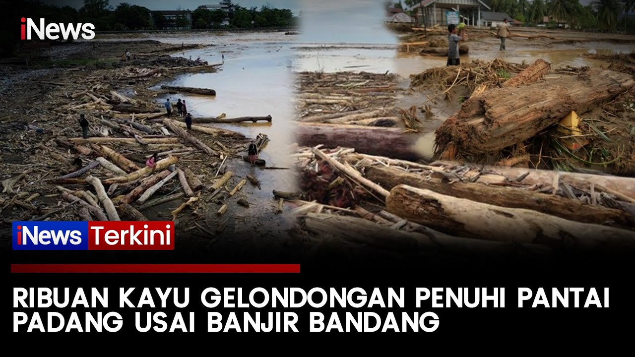 Penampakan Ribuan Kayu Gelondongan Penuhi Pantai Padang Usai Banjir Bandang! | iNews Terkini (29/11)