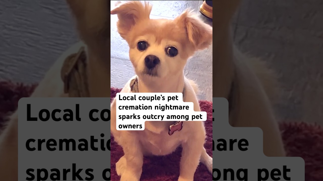 local couple receives pet&rsquo;s ashes from cremation company months later, others continue to wait
