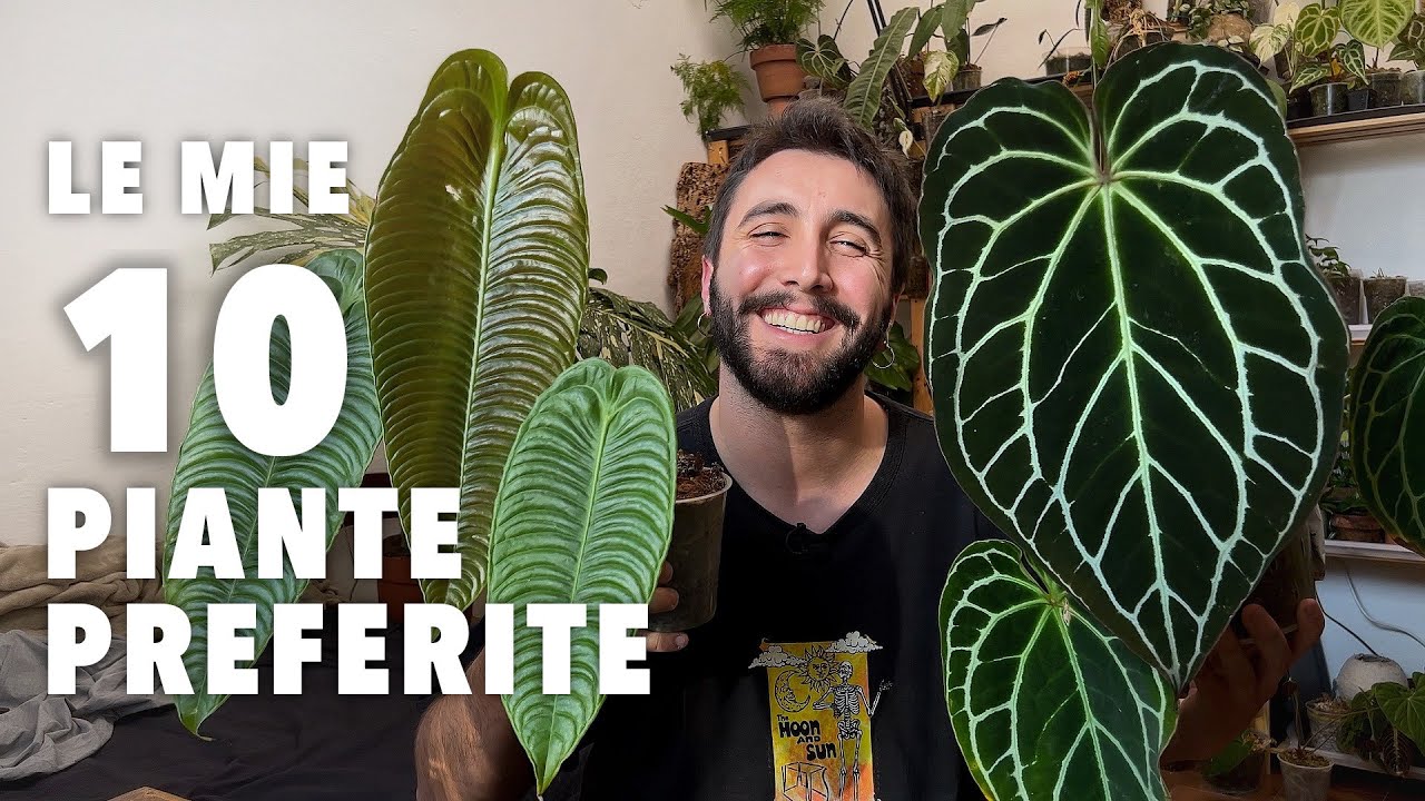Le mie 10 piante preferite