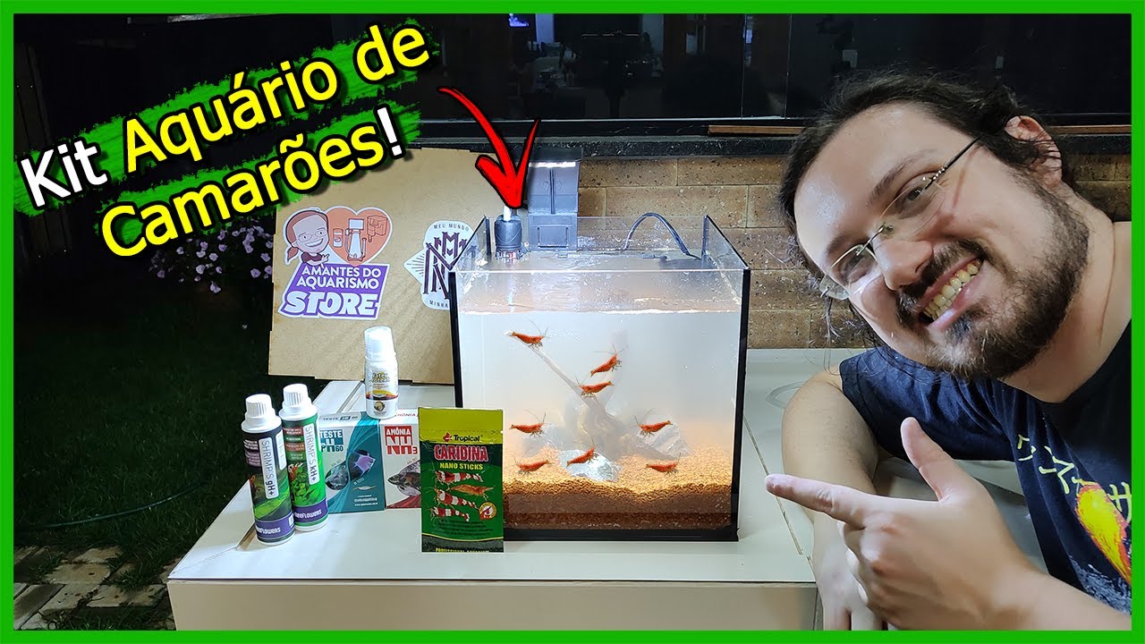 Seu Primeiro Aquário de CAMARÕES! - Kit Barato com o MeuMundoMinhaVida!