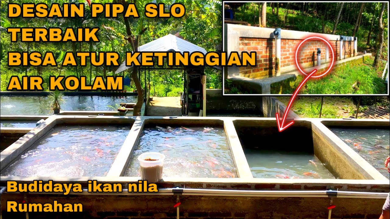 DESAIN PIPA SLO EXTERNAL PADA KOLAM BETON SISTEM RAS - BISA ATUR KETINGGIAN AIR SESUAI KEBUTUHAN