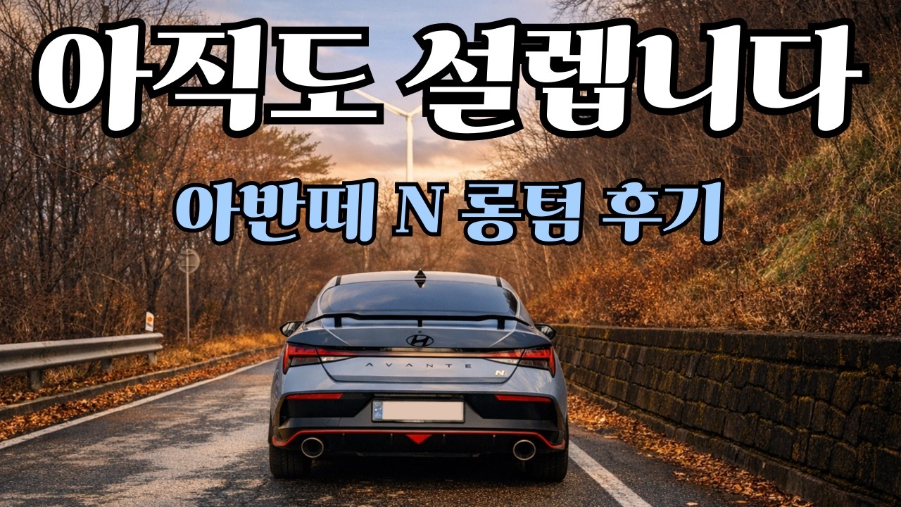 아반떼 N 1년 타본 솔직 후기 | 옵션 만족도부터 유지비까지