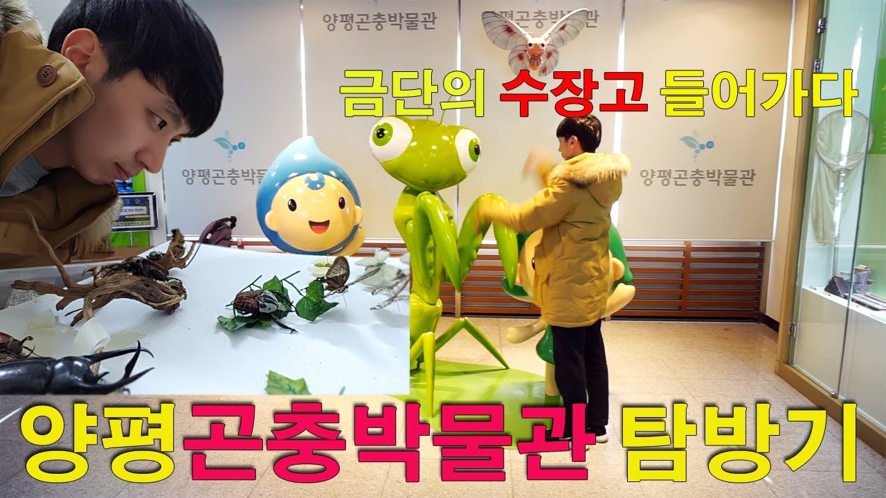 [오브리더] 양평곤충박물관 탐방 (수장고 최초공개)