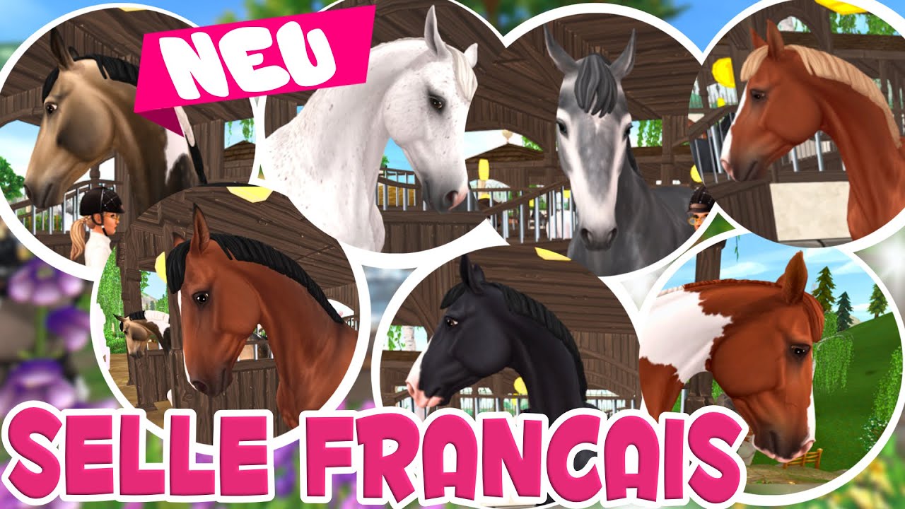 Selle Francais - das Remake ist da! 🐴 PFERDEKAUF 🐴 Star Stable Online