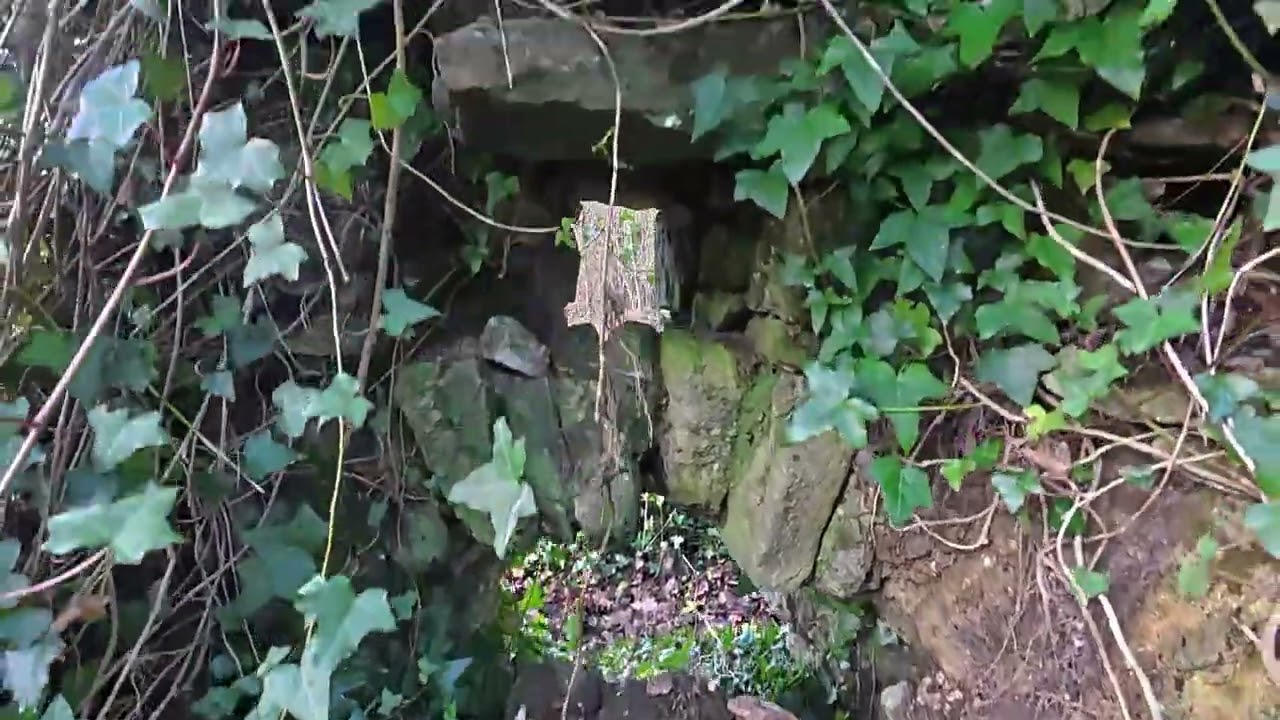Merthyr Mawr and Candleston Castle Jan 2026 Part 1
