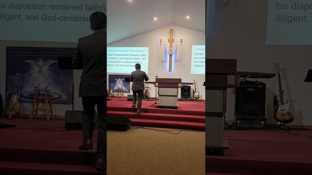 LisPov Haam is live!