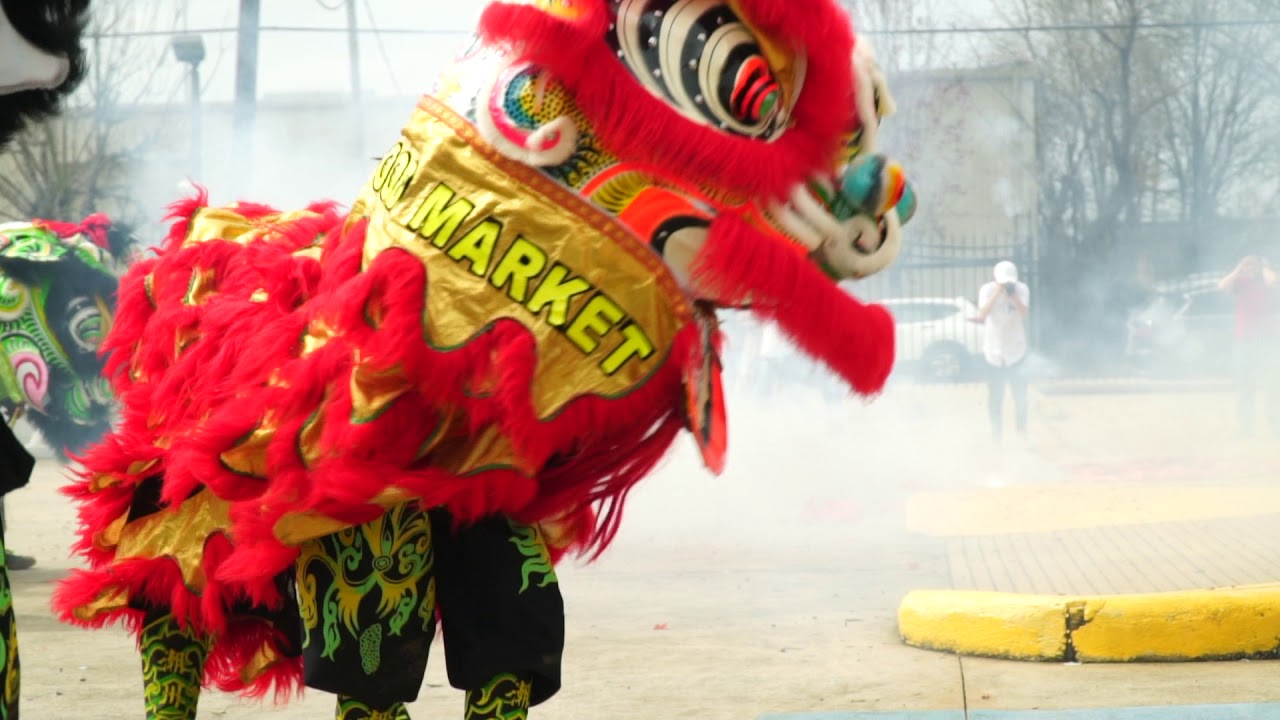 Unicorn Dragon and Lion Dance Team CNY 2018