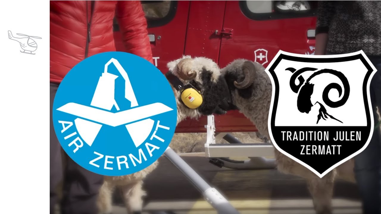 Zermatt - Matterhorn: Zermatter Rettungsschaf