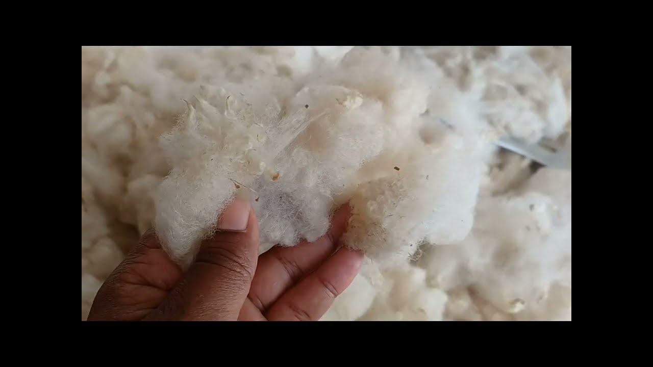 Washing Wool for Tour de Fleece 2024