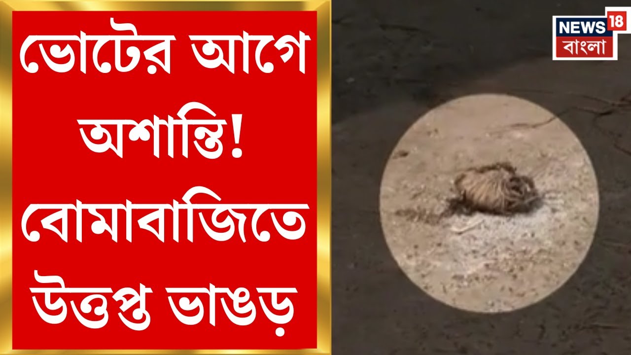 Bhangar News| ভাঙড়ের কাঁটাডাঙায় বোমাবাজি! ISF-তৃণমূল সংঘর্ষে আহত ৭ | Bangla News